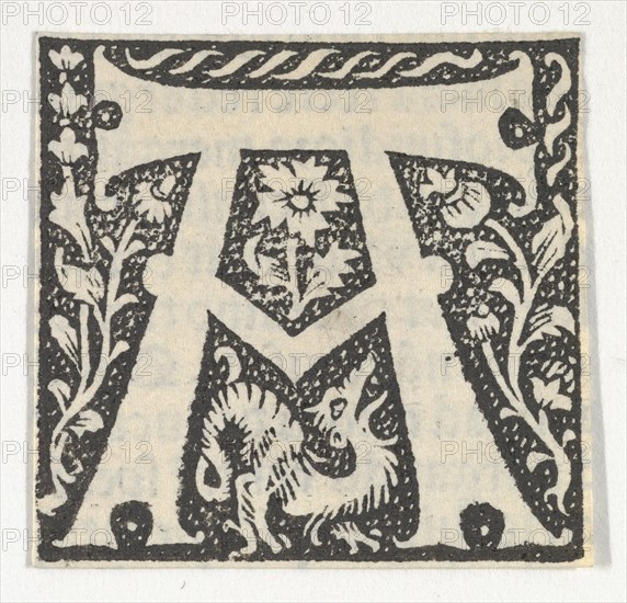 Decorated Roman alphabet, ca. 1499.