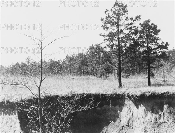 Erosion near Oxford, Mississippi.