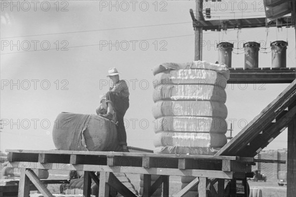 Cotton gin, Hale County, Alabama.