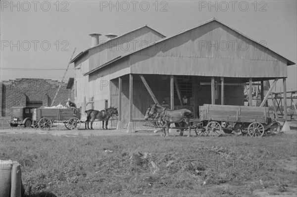 Cotton gin, Hale County, Alabama.