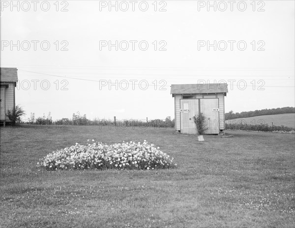 Tourist camp privy. Georgia.