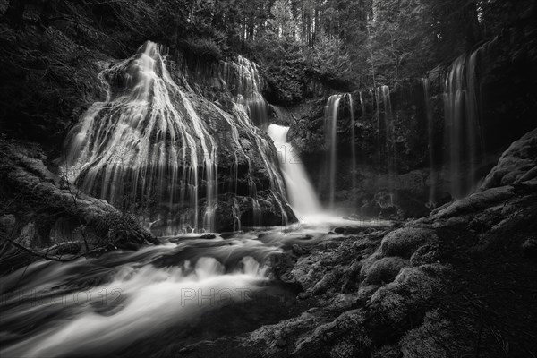 Panther Creek Falls BW.