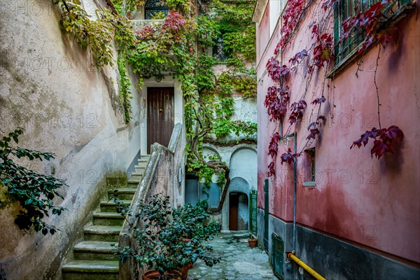 Positano Garden, Italy.