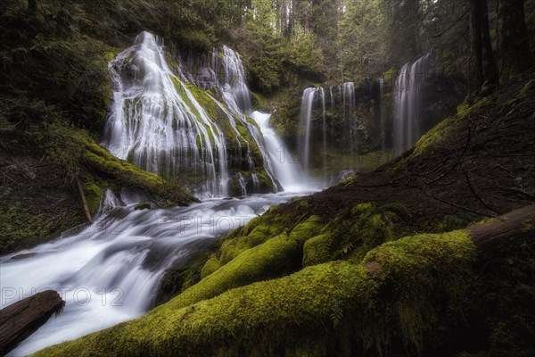 Panther Creek Falls.