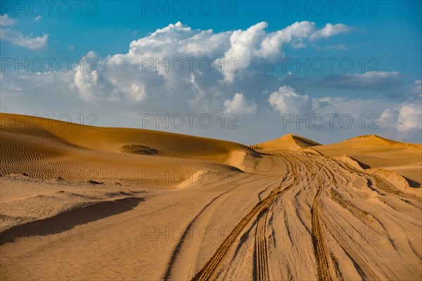 Dubai Desert Safari.