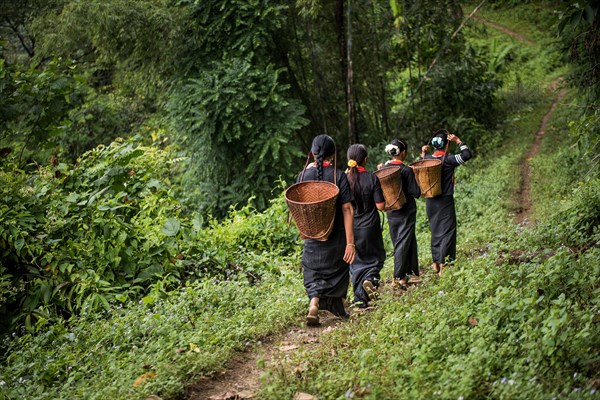 Going to the Field.