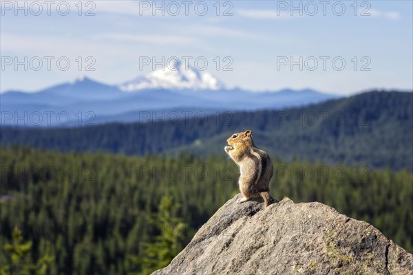 Lunch with a View. Creator: Joshua Johnston.