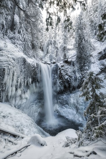 Falls Creek Falls.