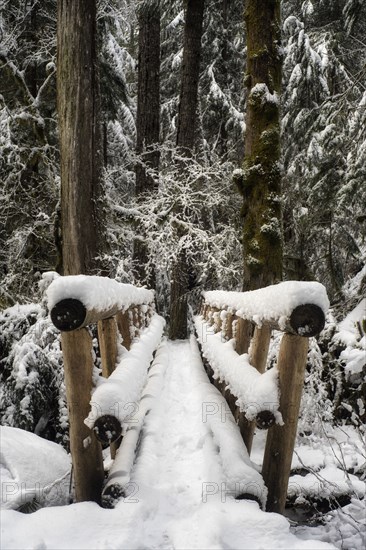 Winter Crossing.