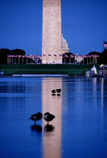 Reflecting Pool.