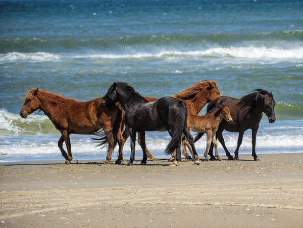 Renzi's Family.