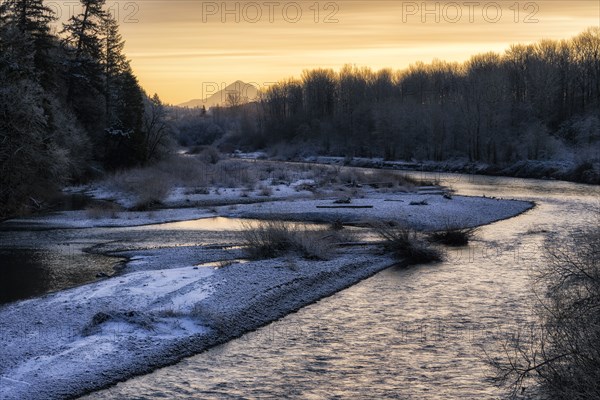 WInter Morning.