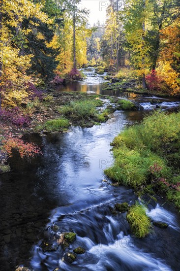 Autumn Colors.