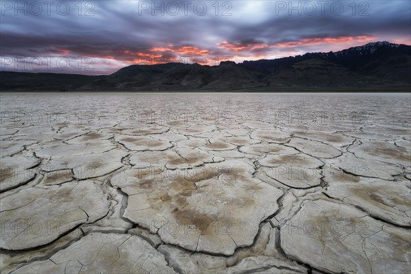 Alvord Desert.