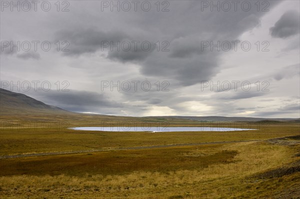 Pond, Iceland.