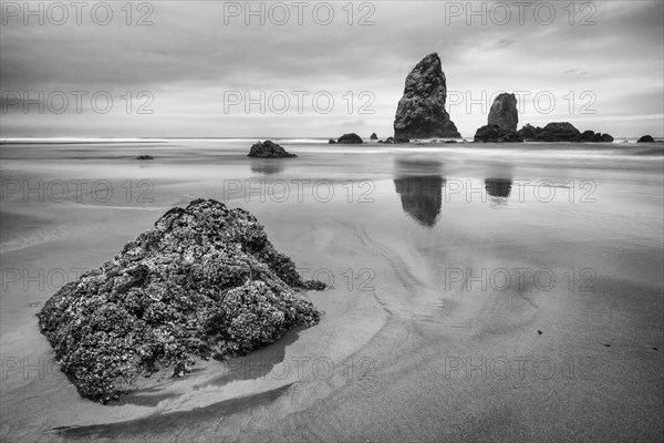 Cannon Beach.