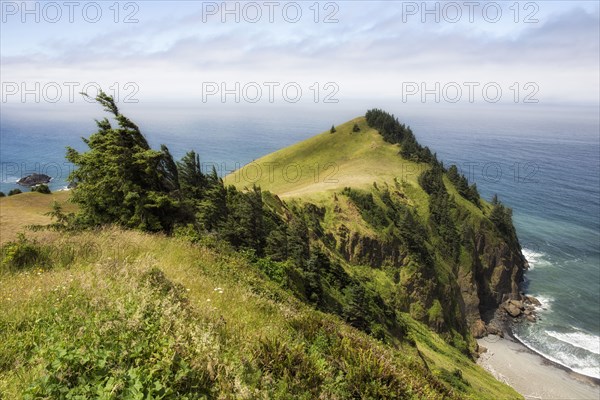 Cascade Head.