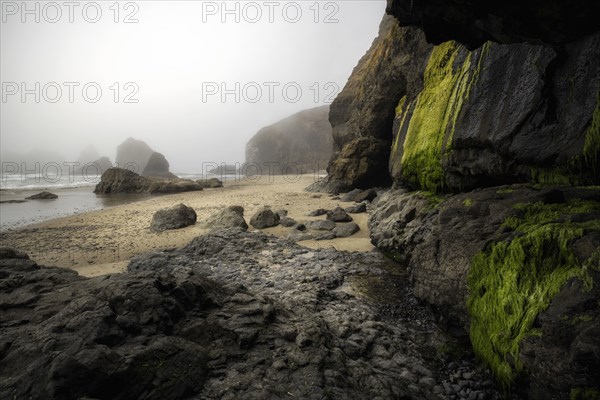 Oregon Coast.