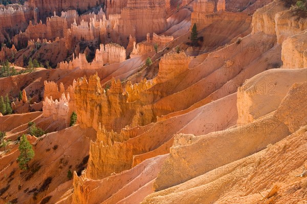 Bryce Canyon.