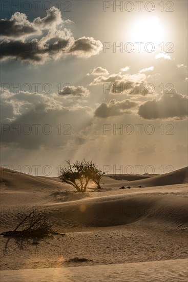 Dubai Desert.