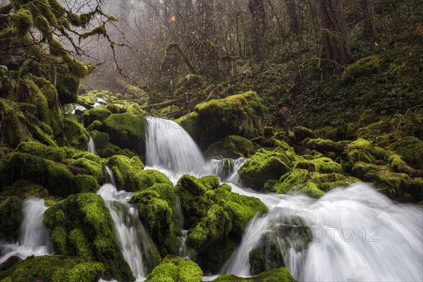 Bunch Falls.