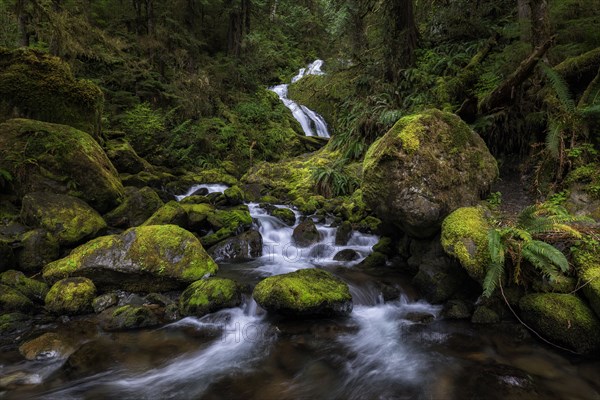 Bunch Falls.