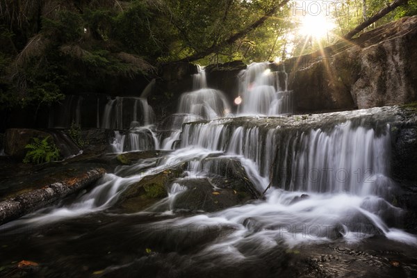 Alsea Falls.