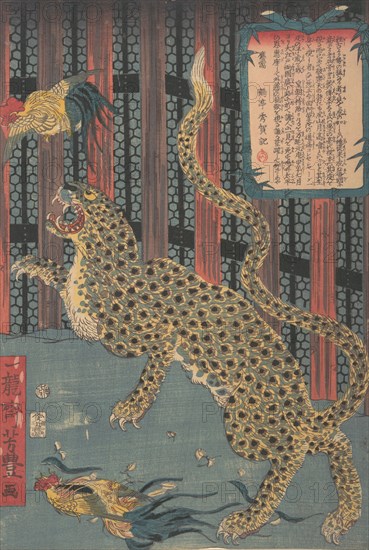 Tiger in a Cage, 7th month, 1860. Creator: Ichiryusai Yoshitoyo.