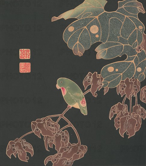 The Paroquet, ca. 1900. Creator: Ito Jakuchu.