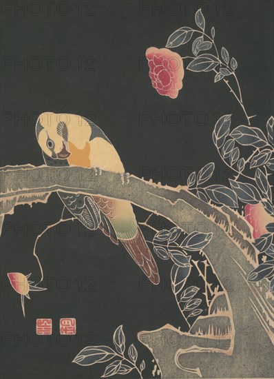 Parrot on the Branch of a Flowering Rose Bush, ca. 1900. Creator: Ito Jakuchu.