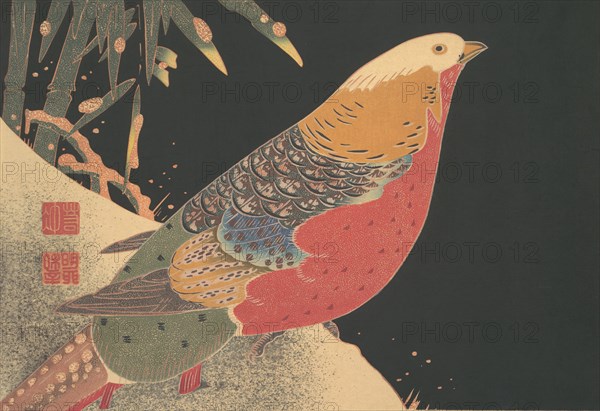 Golden Pheasant in the Snow, ca. 1900. Creator: Ito Jakuchu.