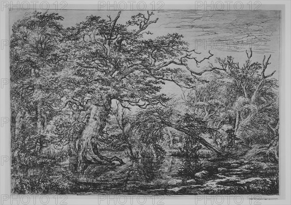 A Forest Marsh with Travelers on a Bank (The Travelers), 17th century. Creator: Jacob van Ruisdael.