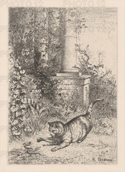 A Domestic Cat Playing with a Garter Snake, ca. 1860. Creator: Karl Bodmer.