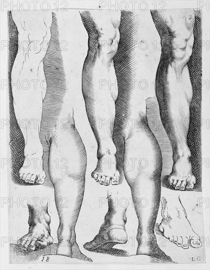 Five Legs and Three Feet, 17th century., 17th century. Creator: Luca Ciamberlano.