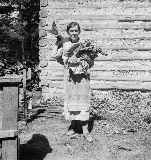 Untitled, 1935-1942. [Woman with tobacco leaves]. Creator: Unknown.