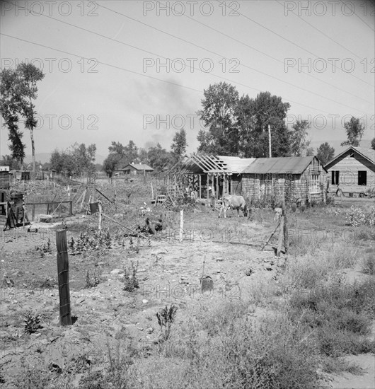 Untitled, 1935-1942. [Rural smallholding]. Creator: Unknown.