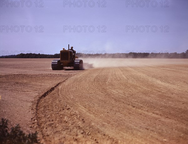 Cultivating a field, Seabrook Farm, Bridgeton, N.J., 1942. Creator: John Collier.