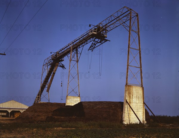 Part of string bean factory and field system, Seabrook Farm, Bridgeton, N.J., 1942. Creator: John Collier.