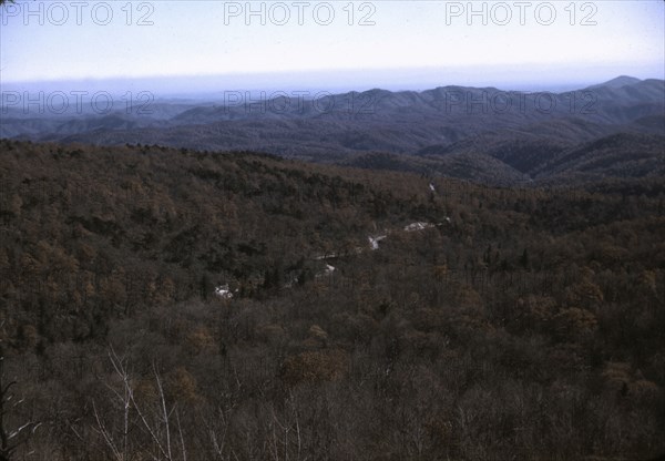 View in the mountains along Skyline Drive in Virginia, ca. 1940. Creator: Jack Delano.