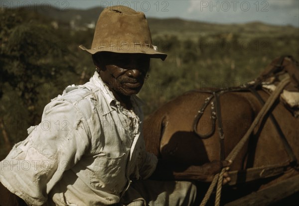 FSA - Tenant Purchase borrower? by his field, Puerto Rico, 1941 or 1942. Creator: Jack Delano.