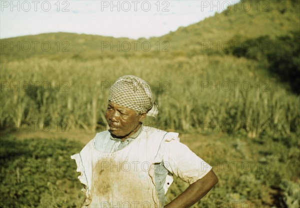 FSA - Tenant Purchase borrower? in her garden, Puerto Rico, 1941 or 1942. Creator: Jack Delano.