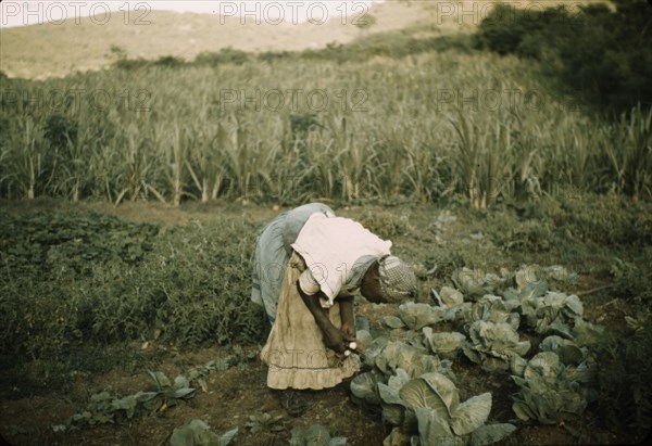 FSA borrower? in her garden, Puerto Rico, 1942 or 1941 . Creator: Jack Delano.