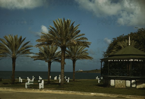 On the coast of Puerto Rico?, 1941. Creator: Jack Delano.