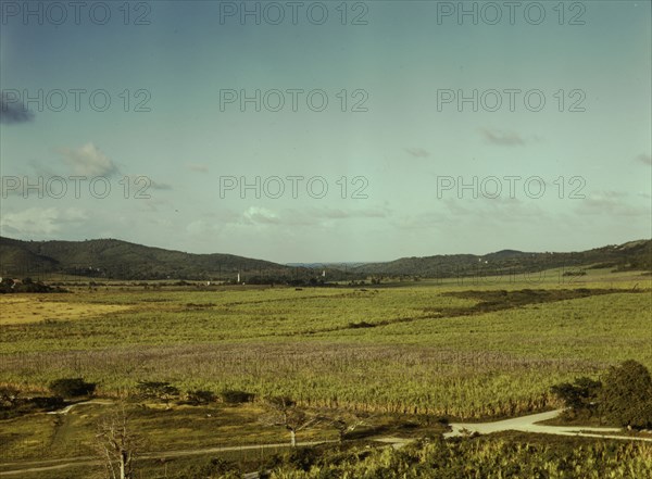 Sugar cane land, Yabucoa Valley? Puerto Rico, 1941. Creator: Jack Delano.