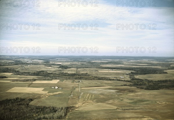 Potato farms in Aroostook County, Maine., 1940. Creator: Jack Delano.