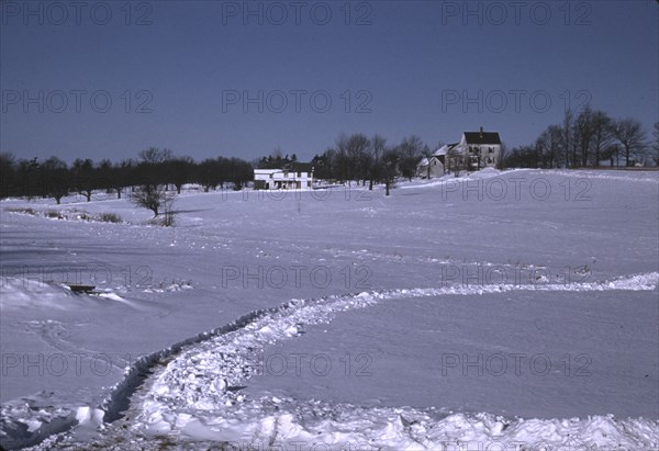 Massachusetts farm, possibly around Brockton, Mass., ca. 1940. Creator: Jack Delano.