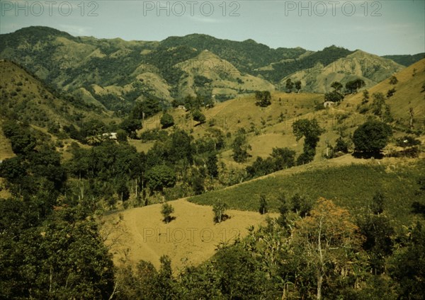 Vicinity of Corozal, Puerto Rico, 1941?. Creator: Jack Delano.