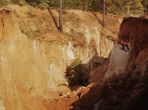 Greene Co. Ga., eroded farm land, 1941. Creator: Jack Delano.