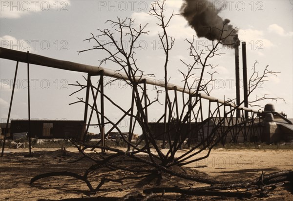 Sawmill at the Greensboro Lumber Co., Greensboro, Ga., 1941?. Creator: Jack Delano.