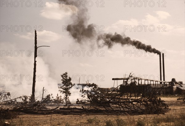 Sawmill at the Greensboro Lumber Co., Greensboro, Ga., 1941?. Creator: Jack Delano.